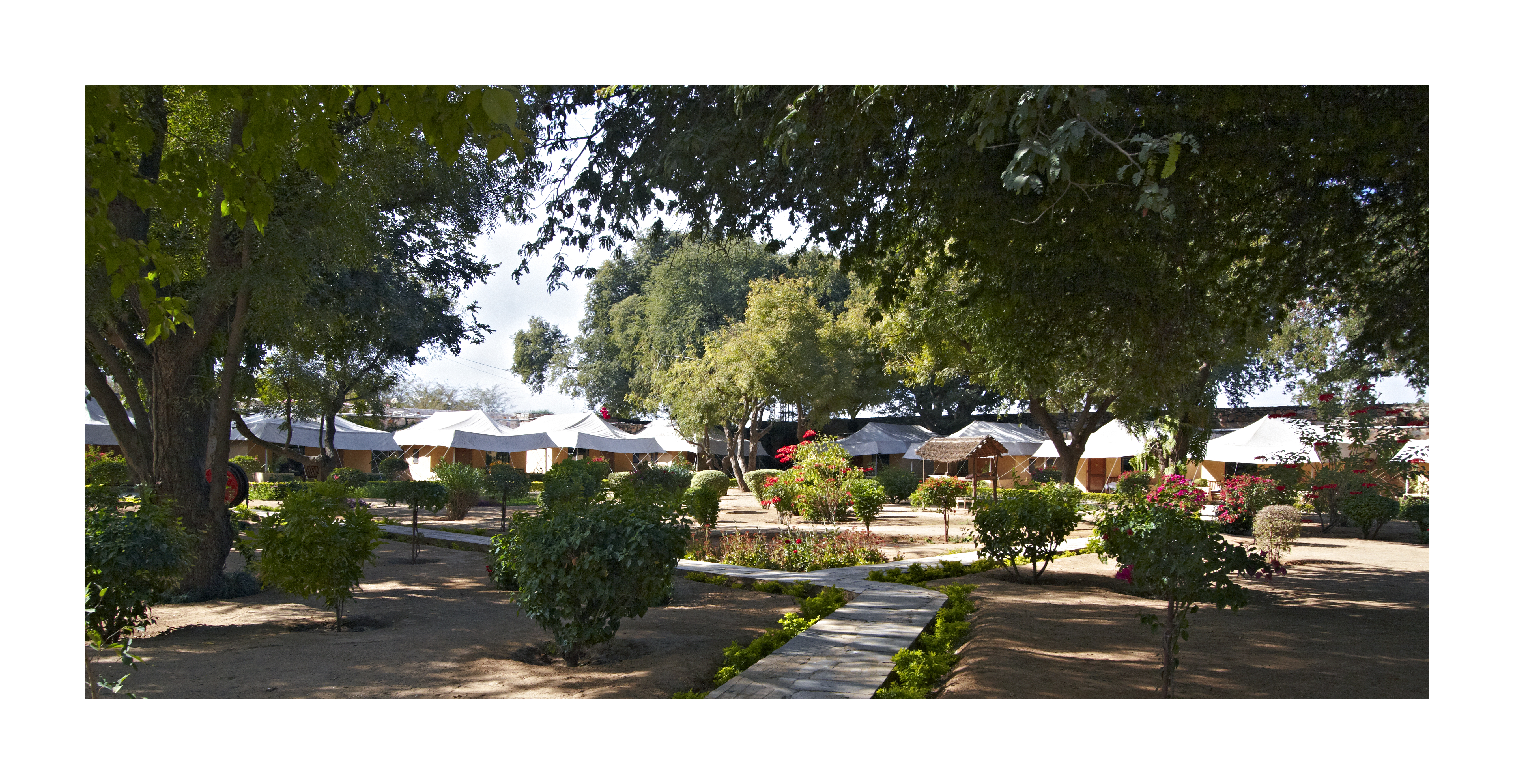 Image from Samode Bagh